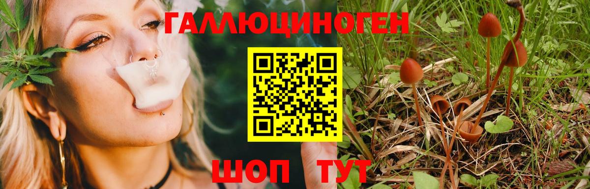 Псилоцибиновые грибы Psilocybine cubensis  Псилоцибиновые грибы Cubensis  Тимашёвск  Вход с VPN 